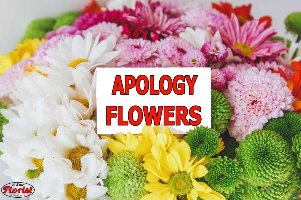 apology flowers Seattle